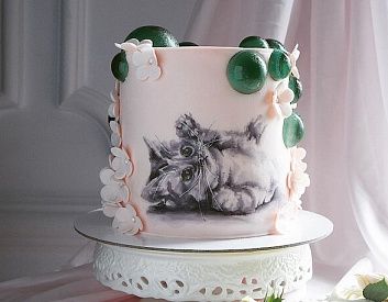 Торт с «Котиком»